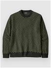 Patagonia Recycled Wool-Blend Neule finned / old growth green