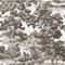 Elliot Brown - 1066301-03 Tapetti – kuva 1