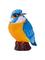 Mojo Farmland Kingfisher – kuva 1