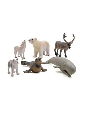 Pocket Money Arctic animals 6 pcs – kuva 1/1