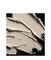 thumb93209375