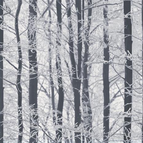 Fantasia Second Edition - 002076 Tapetti