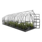 Kasvihuone Standard KLASIKA 20 m2, 2,5 m x 8 m, 6 mm polykarbonaatti (4 kattoikkunaa)