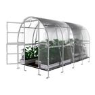 Kasvihuone KLASIKA SLIM 2 x 4 m (8 mÂ²), 6 mm polykarbonaatti