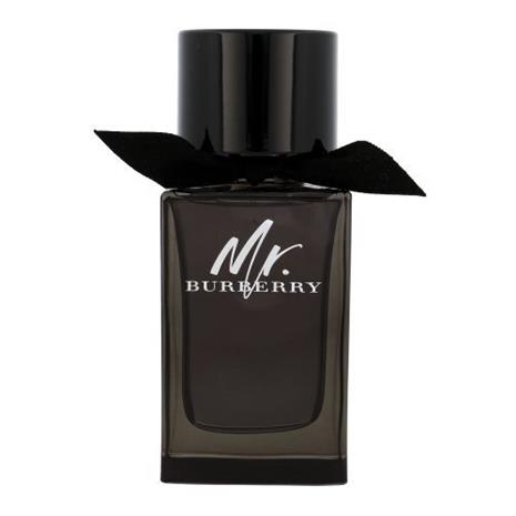 Burberry Mr. Burberry - EdP 100 ml