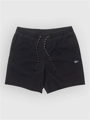 Salty Crew Seadog Volley Boardshorts black Miehet