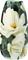 KM Flower maljakko – kuva 1