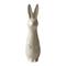 DBKD Swedish rabbit small Vanilla – kuva 1