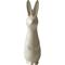DBKD Swedish rabbit small Vanilla – kuva 2