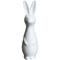 DBKD Swedish rabbit small White – kuva 2