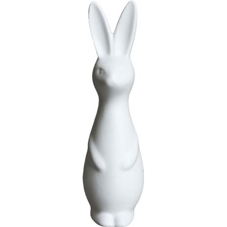 DBKD Swedish rabbit small White