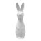 DBKD Swedish rabbit large White – kuva 1