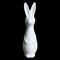 DBKD Swedish rabbit large White – kuva 2