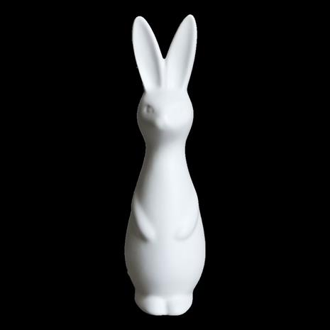 DBKD Swedish rabbit large White