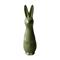 DBKD Swedish rabbit small Shiny green – kuva 1