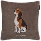 Lexington Dog Pillow Cover 50x50 Cm - Koristetyynyt & Suojukset Puuvillasametti Ruskea - 12534114-1997-SH25