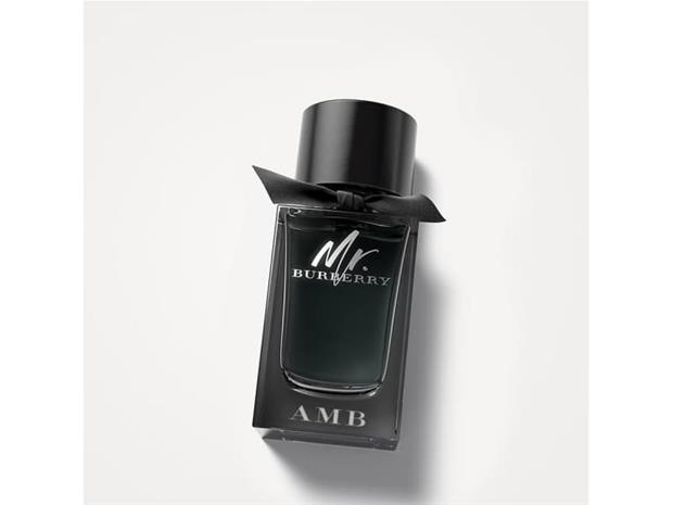 Burberry Mr. Burberry - EdP 100 ml
