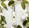Jo Malone Wood Sage & Sea Salt EDC - 30 ml – kuva 3