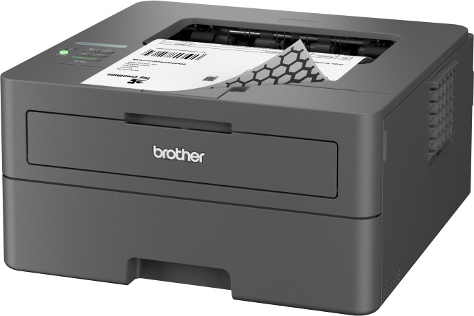 Brother HL-L2400DW Monolaser