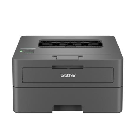 Brother HL-L2400DW Monolaser