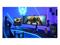 Acer Predator X49Xbmipphuzx (49"), näyttö – kuva 4
