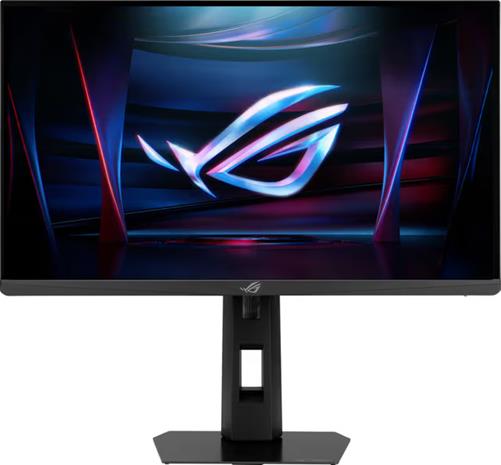 24,1" ASUS XG248QSG