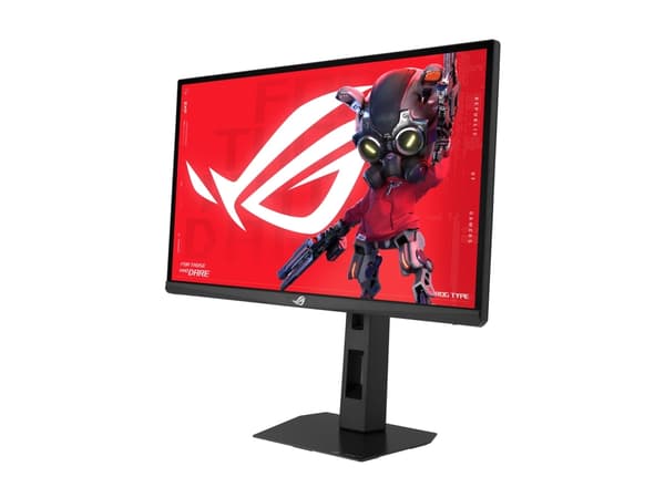 24,1" ASUS XG248QSG