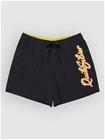 Quiksilver Everyday Malibu Volley 15 Surffishortsit black Miehet