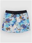 Quiksilver Surfsilk Kaimana Printed 16 Surffishortsit aqua interact floral Miehet