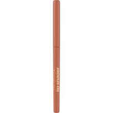 Max Factor Lip Shader No. 010