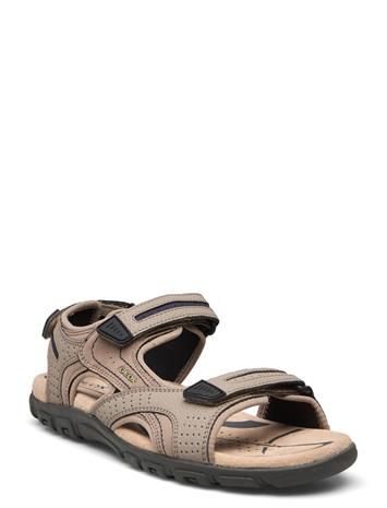 GEOX Uomo Sandal Strada D - Brown - 46