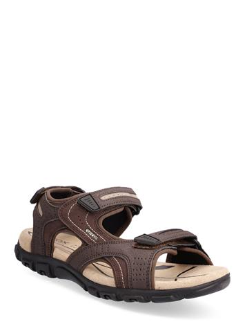 GEOX Uomo Sandal Strada D - Brown - 46