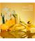 Calvin Klein Euphoria Solar Elixir - EdP 10 ml – kuva 2