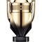 Rabanne Invictus Elixir - parfum elixir 100 ml – kuva 1