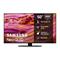 Samsung TQ50QN90FAT (50"), QLED-televisio – kuva 7