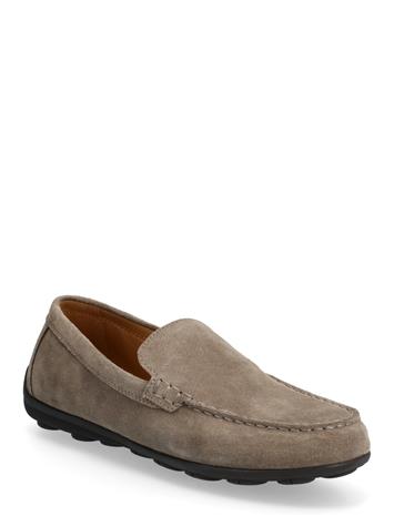 GEOX U Spherica Ec16 A - Brown - 46