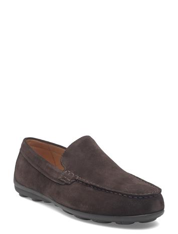 GEOX U Spherica Ec16 A - Brown - 46