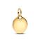 Pandora Engravable Round Tag Dangle hela 368610C00 – kuva 3