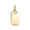 Pandora Engravable Rectangle Tag riipus 368611C00_ – kuva 2