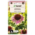 Punainen käenkaali Green Twister siemen / Echinacea purpurea Green Twister / käenkaali monivuotinen