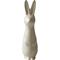 DBKD Swedish rabbit small Vanilla – kuva 3
