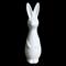 DBKD Swedish rabbit large White – kuva 3