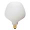 Tala - Lamppu LED 6W Enno E27 – kuva 6
