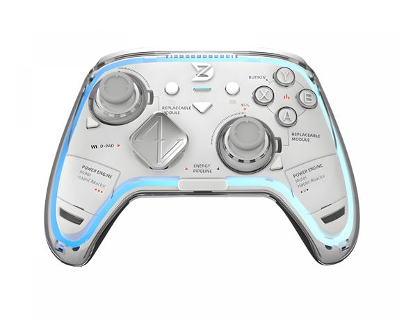 ZD Ultimate Legend HE, PC/Nintendo Switch -peliohjain