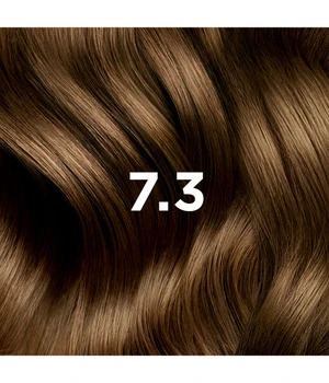 PHYTO PARIS PHYTOCOLOR Hiusväri 1 kpl 7.3 Goldblond
