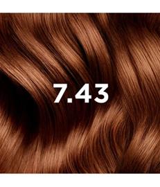 PHYTO PARIS PHYTOCOLOR Hiusväri 1 kpl 7.43 Kupfer Goldblond