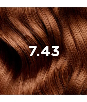 PHYTO PARIS PHYTOCOLOR Hiusväri 1 kpl 7.43 Kupfer Goldblond