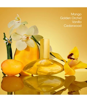 Calvin Klein Euphoria Solar Elixir - EdP 50 ml