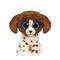 Ty Beanie Boos - Muddles The Dog (Regular) – kuva 3