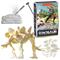 Luova setti Woopie Dinosaur Skeleton – kuva 1